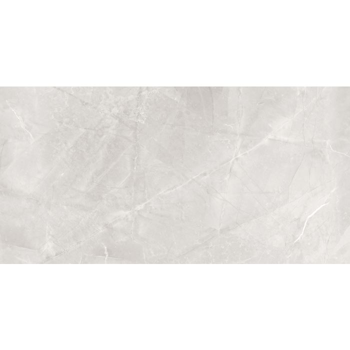 Elegant Stone 30x60 Silver Gloss