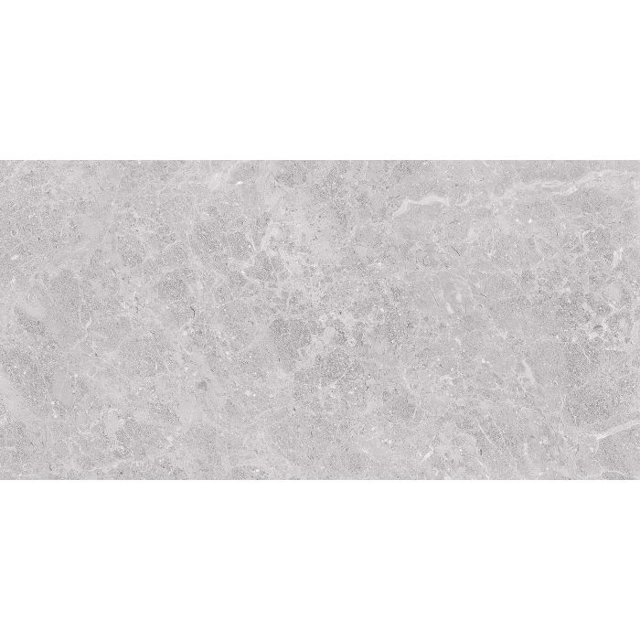 Fossil 30x60 Grey Gloss