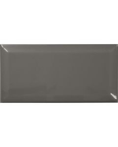 Biss 10x20 Grey Gloss Bevelled