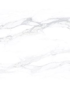Statuario Glacier 60x60 White Matt Carving
